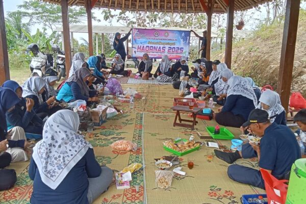 WhatsApp Image 2025-09-09 at 15.28.56 (1)